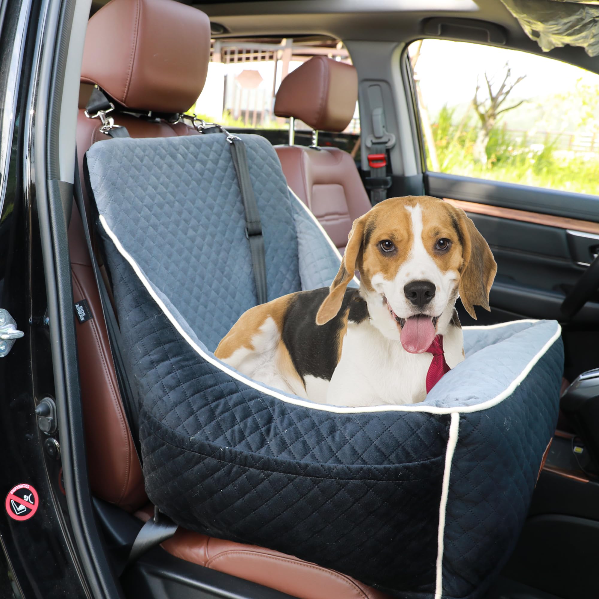 Premium Dog Car Seat for Small & Medium Dogs - Luxury Pet Booster Seat with Thickened Memory Foam, Washable Cover for Front/Back Seats - Travel Bed for Pets Up to 35lbs (Dark Gray) - Perfect for Road Trips, Daily Commutes & Vet Visits