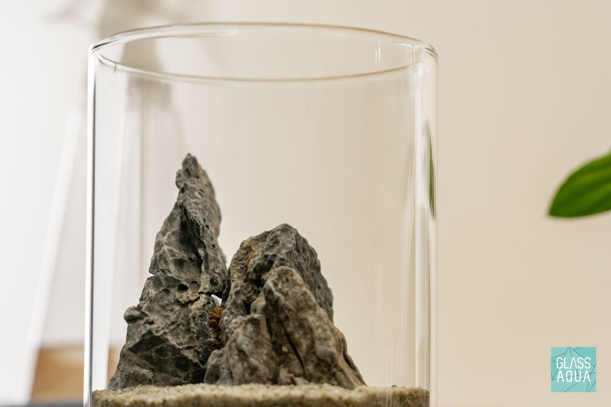 Miniature Terrarium Kit for Home Decor - DIY Glass Garden with Succulents & Air Plants - Perfect for Office Desk, Living Room, or Gift Giving