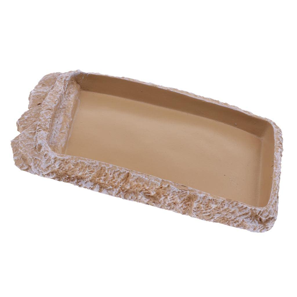UJEAVETTE Reptile Feeding Bowl - Creamy White NS-14 for Food & Water - Perfect for Terrariums