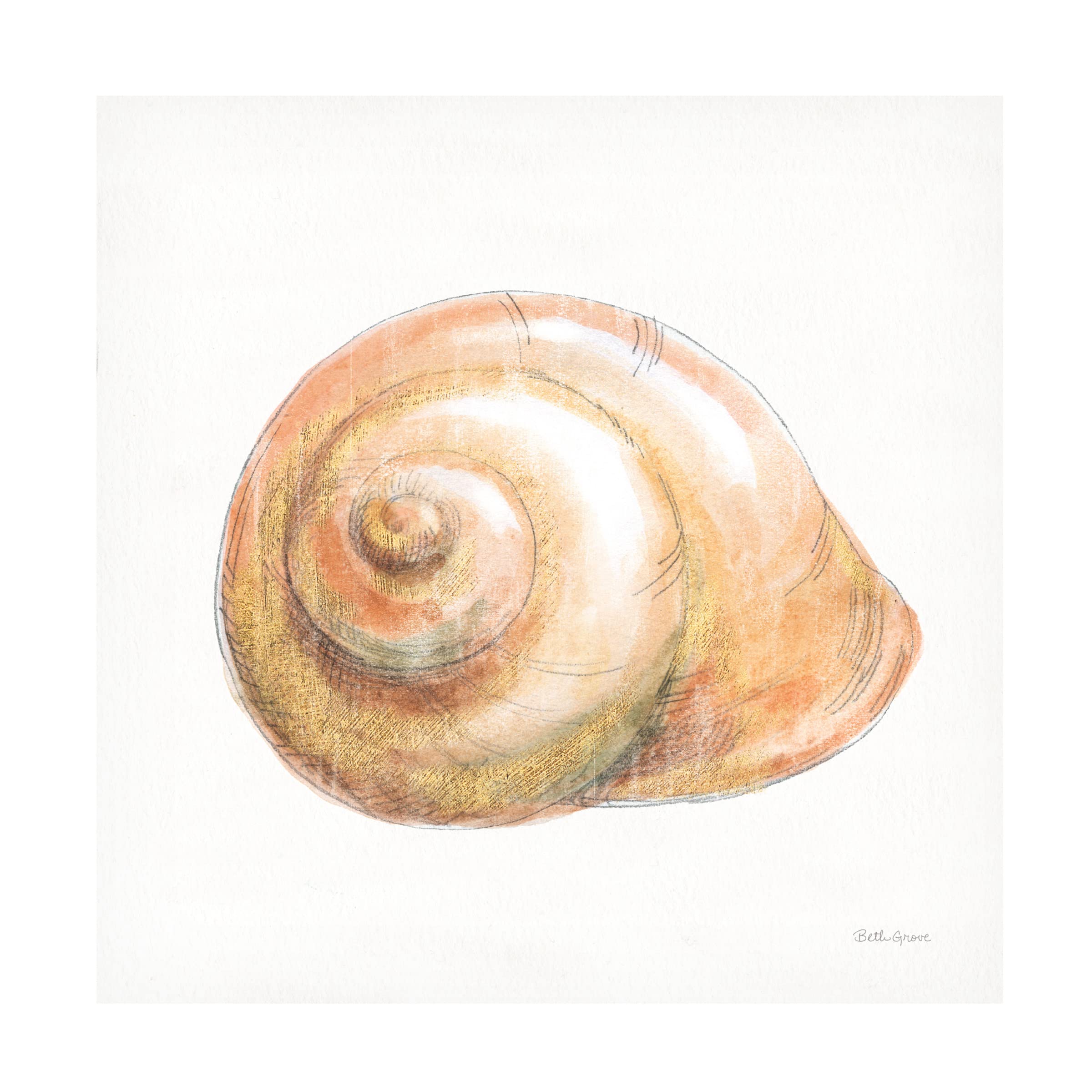 Beth Grove 'Golden Treasures I on White' Canvas Wall Art Print - Premium Home Decor for Living Room, Bedroom & Office