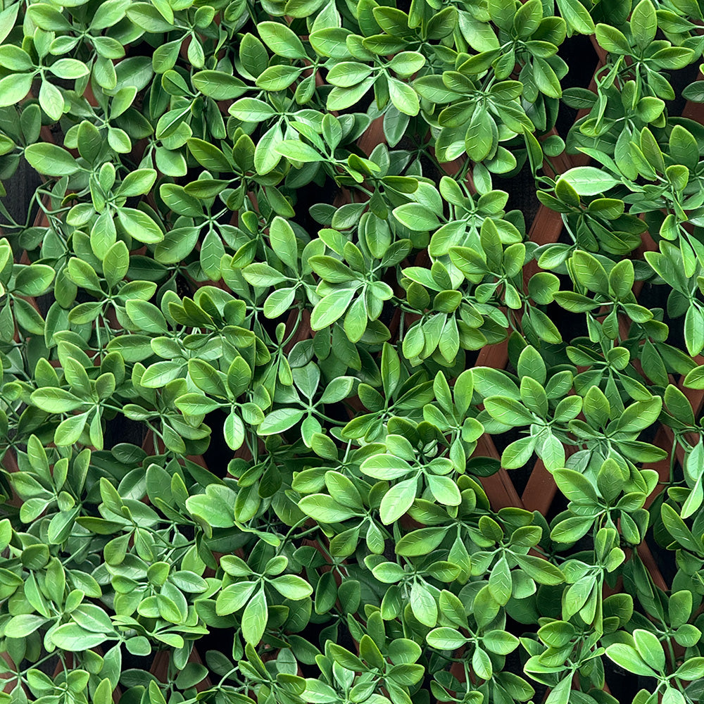 UV Protected Dark Green Barberry Expanding Trellis Screening - Perfect for Garden Privacy, Fence Cover & Outdoor Decor