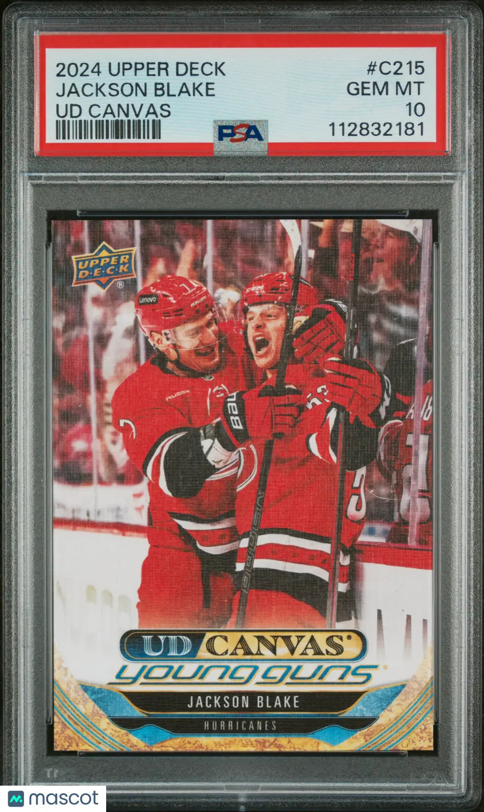 2024 Upper Deck Series 2 UD Canvas Young Guns Rookie Card Jackson Blake PSA 10 Gem Mint - Perfect for Hockey Card Collectors & Sports Memorabilia Enthusiasts