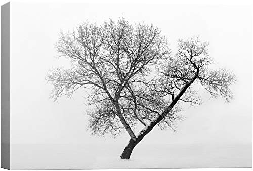 Base06-2103-nature-na05