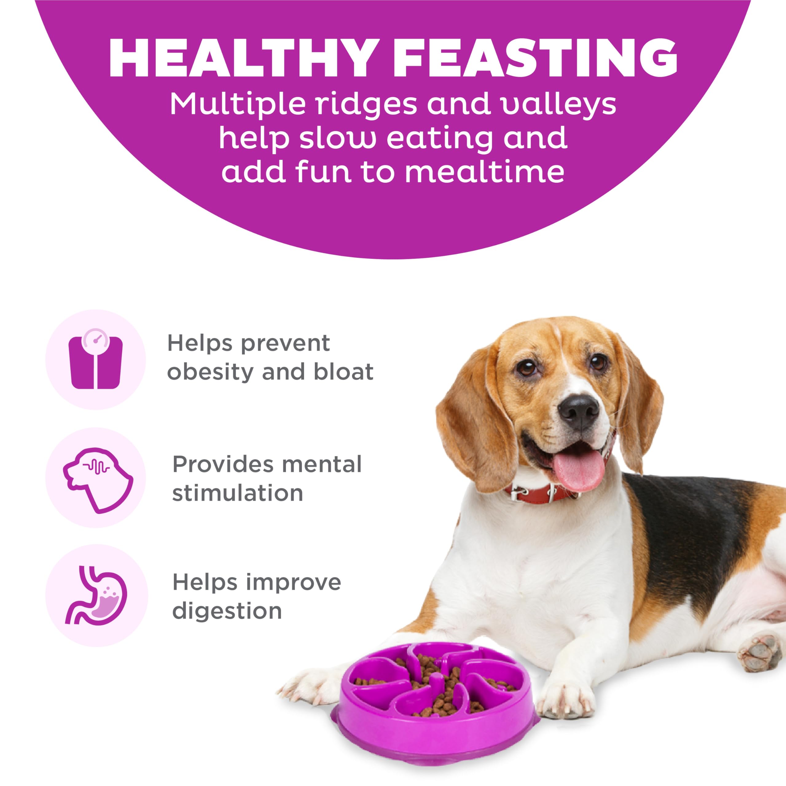 Outward Hound Fun Feeder Slo Bowl - Slow Feeder Dog Bowl for Medium & Small Dogs - Purple - Prevent Fast Eating & Bloat - Perfect for Mealtime & Training