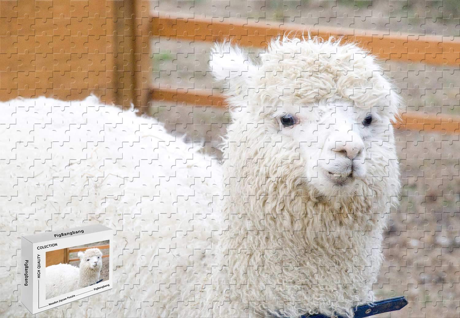 Premium 300-Piece Jigsaw Puzzle - White Alpaca Resting on Basswood | 20.6 x 15.1 Inch Large Puzzle for Adults & Teens | Perfect for Family Game Night, Stress Relief & Home Decor