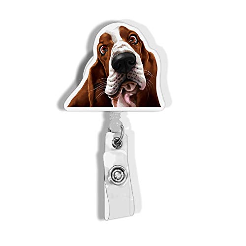 Cute Basset Hound Dog