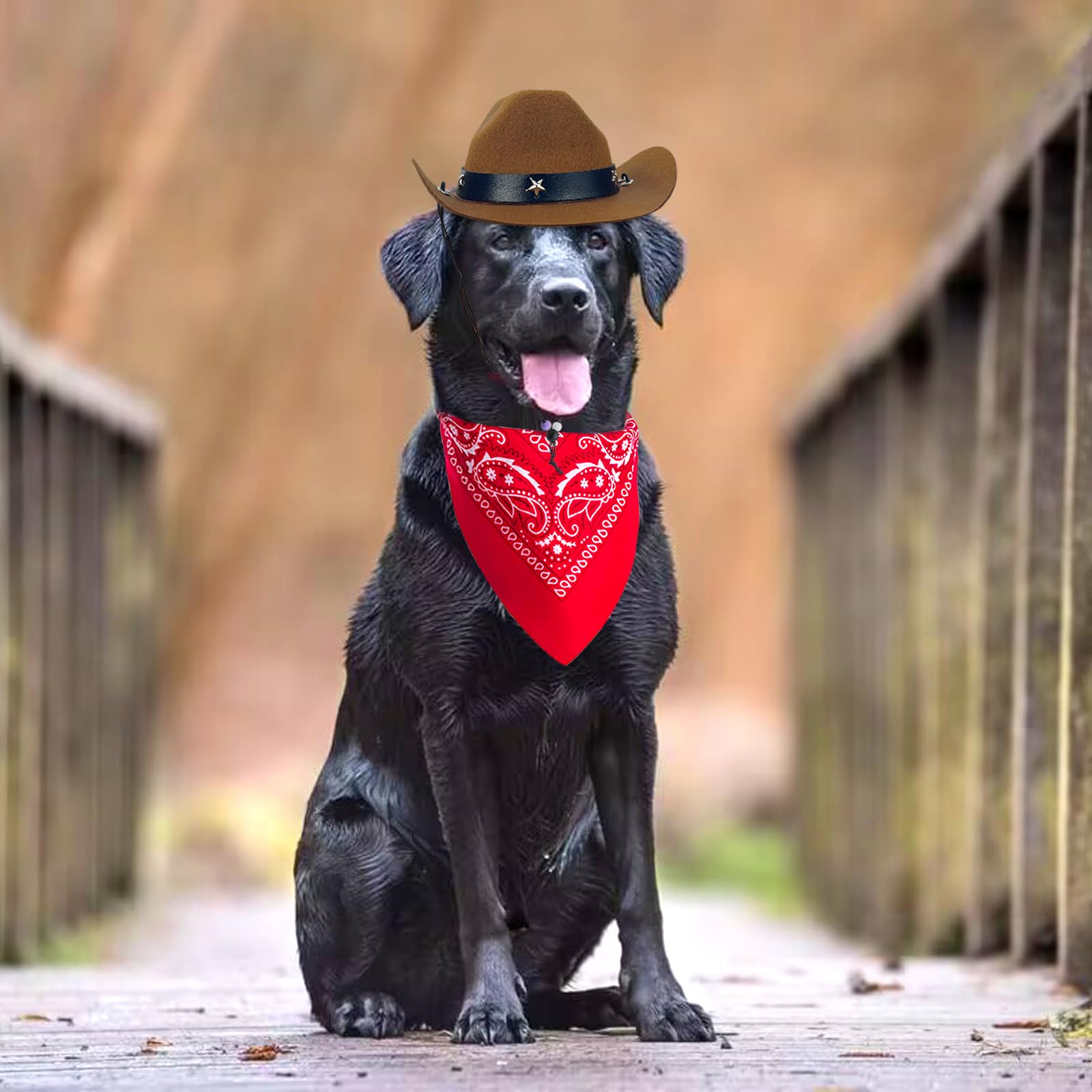 Funny Pet Cowboy Hat & Bandana Costume Set for Dogs & Cats - Western Cowboy Accessories for Halloween, Birthday Parties & Mexican Themed Events - Perfect for Daily Wear & Photo Shoots (Brown)