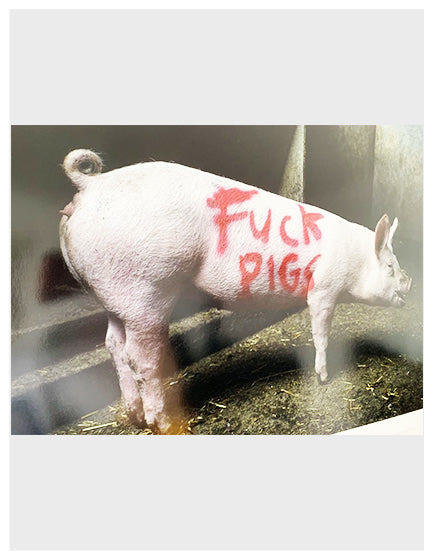 Banksy 'Fuck Pigs' High Society Print by Lazarides - Street Art Wall Decor for Urban Home & Office
