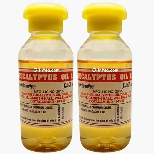 Nilgiris I.P Certified Indian Pharmacopoeia Eucalyptus Essential Oil (60ml) - Pack of 2 | Pure Aromatherapy Oil for Diffusers, Massage & Respiratory Relief