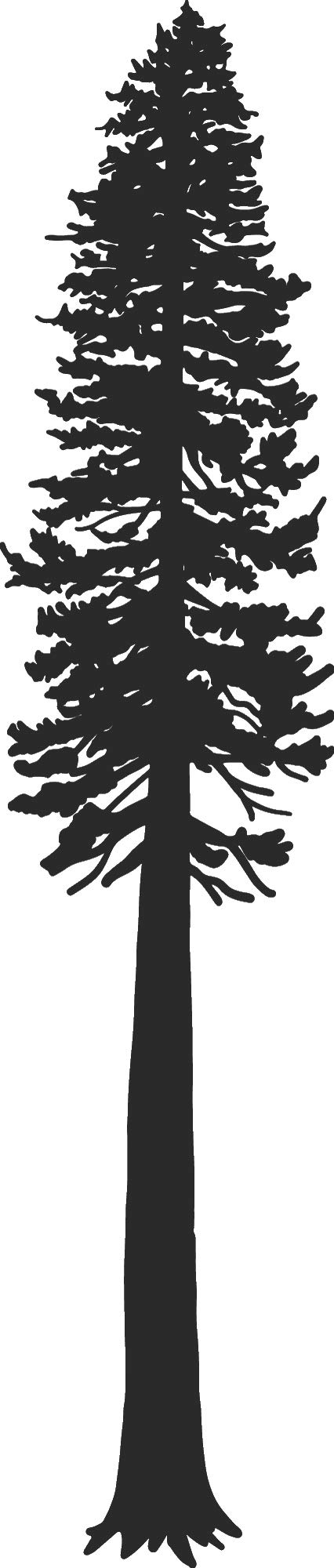 Redwood Tree Vinyl Decal - 5 Inches - Matte Black - 2.5mil Thick Outdoor-Grade Sticker for Cars, Trucks, Windows, Laptops, Tablets - Perfect for Personalizing Vehicles, Tech Devices & Home Decor