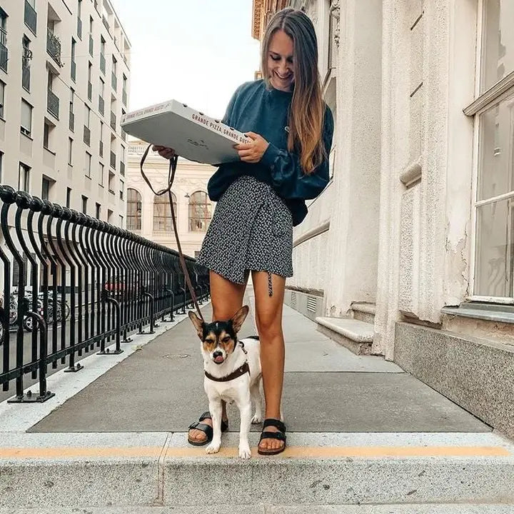 Premium Brown Leather Dog Leash - Strong & Durable for Large Dogs - Perfect for Walking, Training & Outdoor Adventures