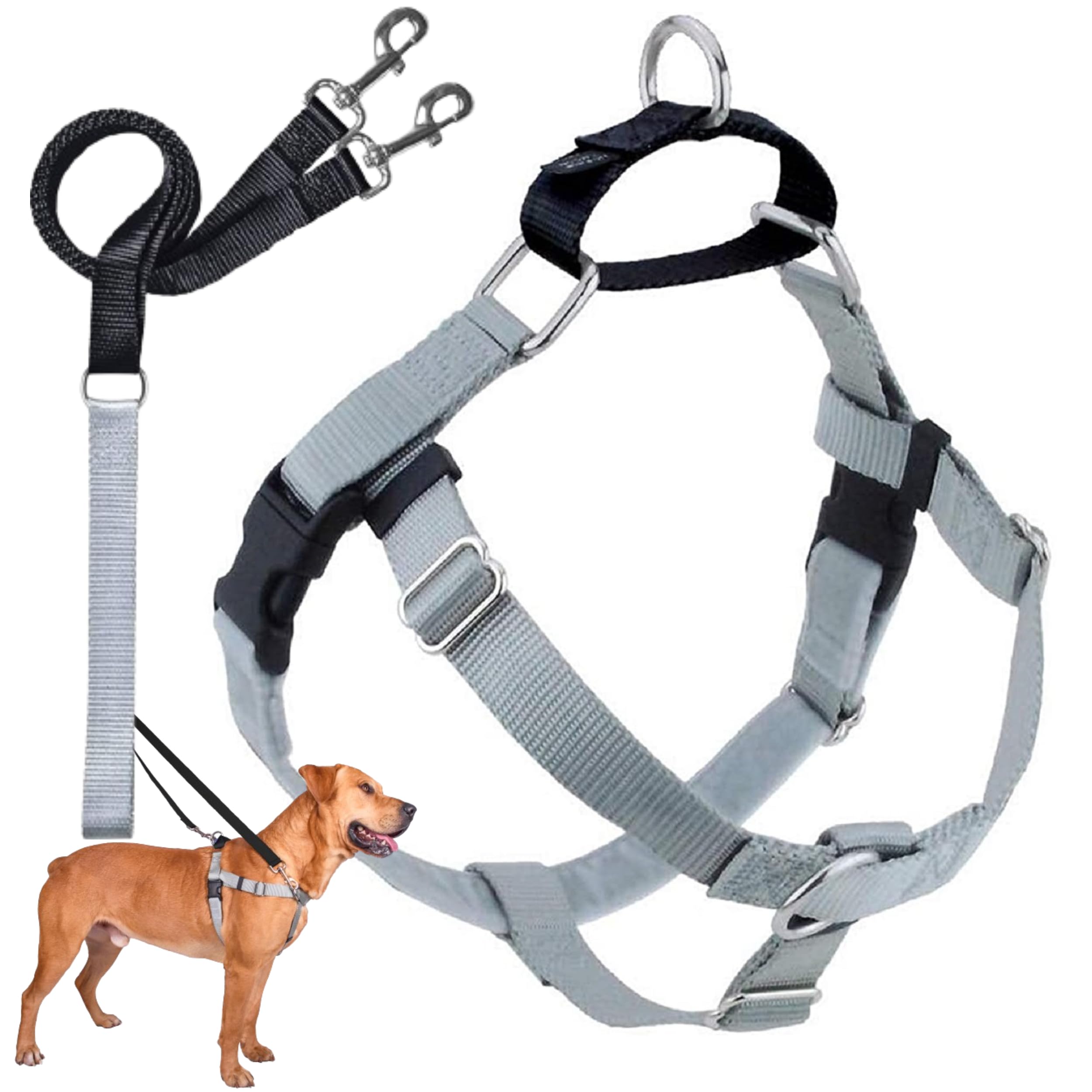 2 Hounds Design Freedom No Pull Dog Harness - Adjustable Pet Harness and Leash Set for Easy Walking & Comfort Control - Fits Small, Medium & Large Dogs - Solid Colors (5/8