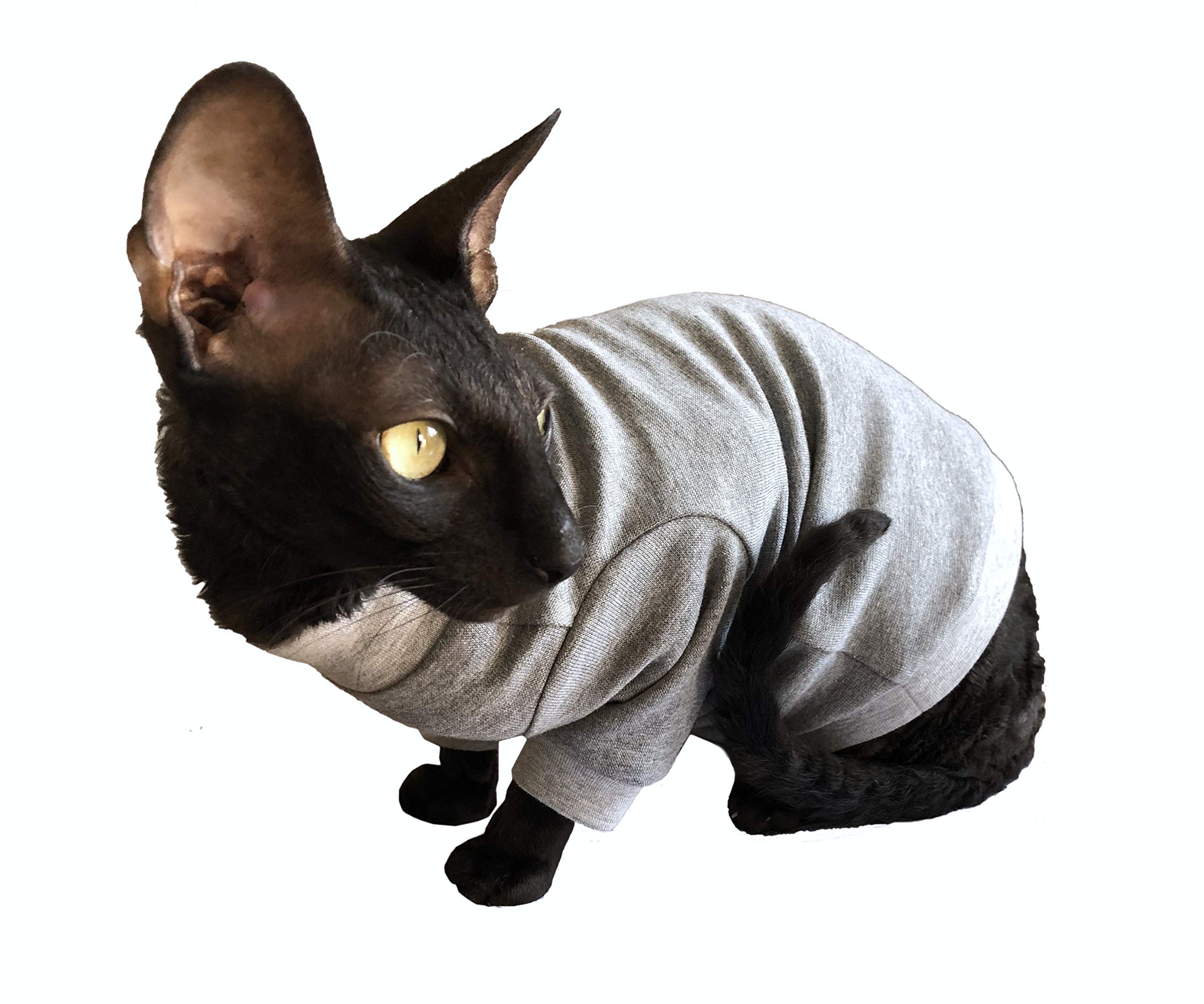 CAT WEAR Cozy Cotton Sweater for Women - Home Sweet Home Print (XS) - Perfect for Casual Wear, Lounging at Home & Cat Lover Gifts