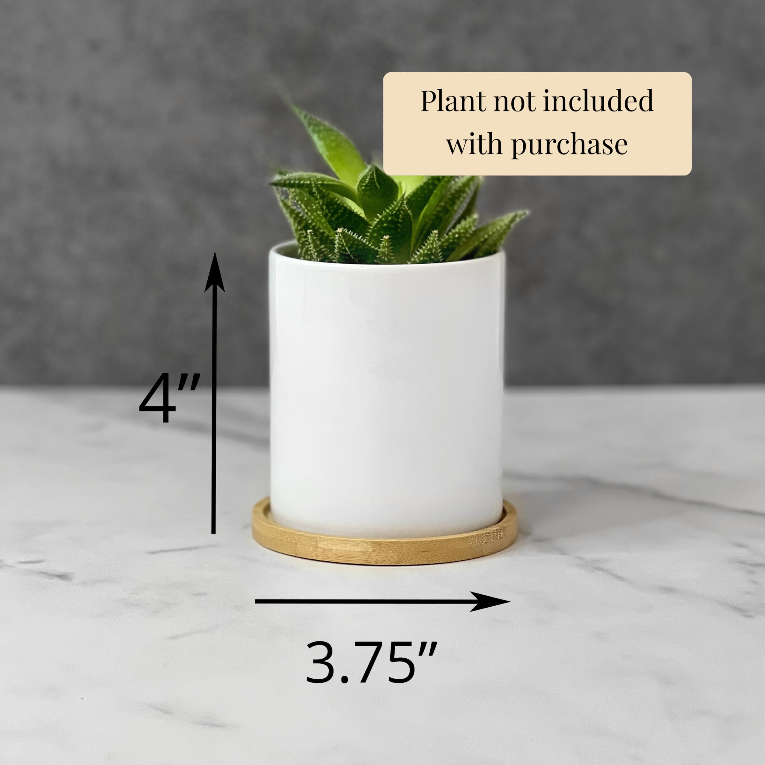 Lhasa Apso Dog Succulent Planter Pot - Personalized Pet Memorial Gift for Dog Lovers - Custom Name Engraved Flower Pot for Dog Mom & Dad - Perfect for Home Garden Decor & Indoor Plant Display