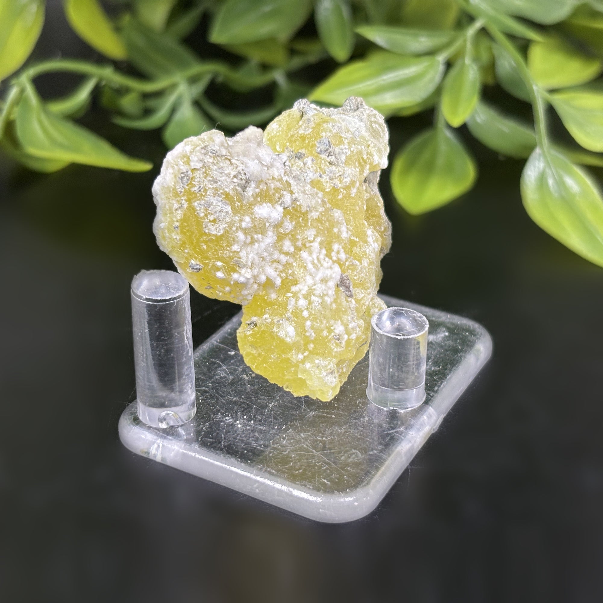 Natural Brucite Crystal Mineral Specimen - Powerful Healing Stone for Clarity, Confidence & Energy Cleansing (RMI740) | Spiritual Healing, Meditation & Home Decor