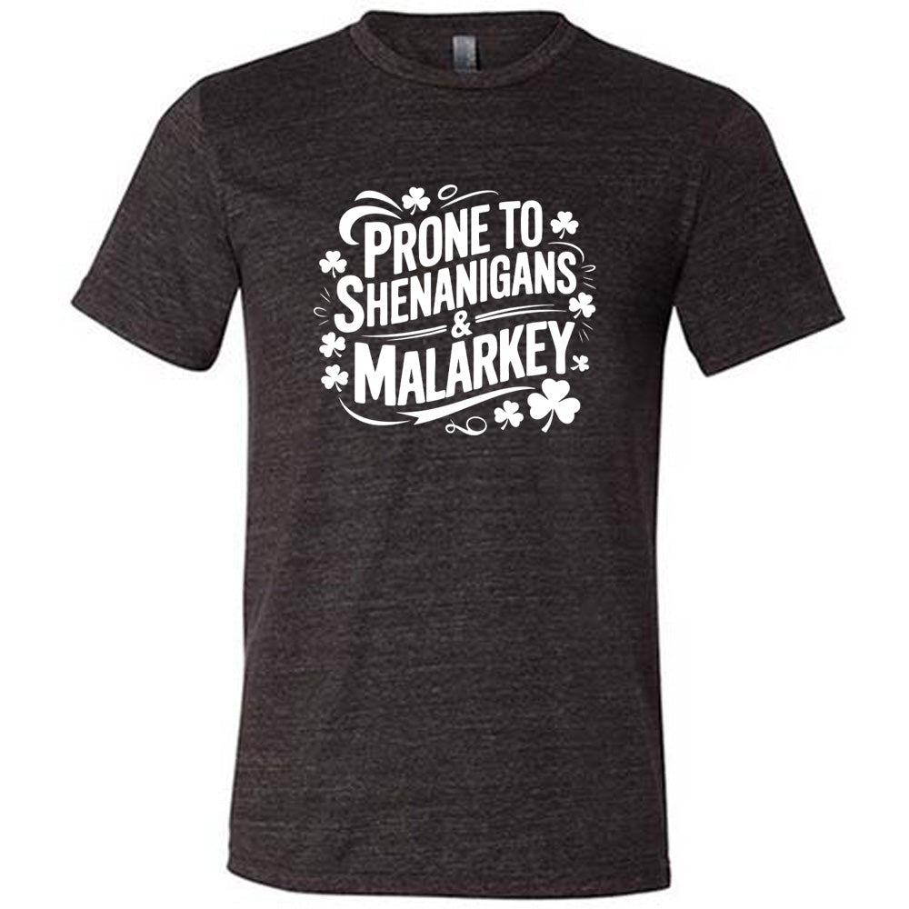 Funny Unisex T-Shirt - Prone To Shenanigans & Malarkey Design - Perfect for Casual Wear, Gifts & Humorous Occasions
