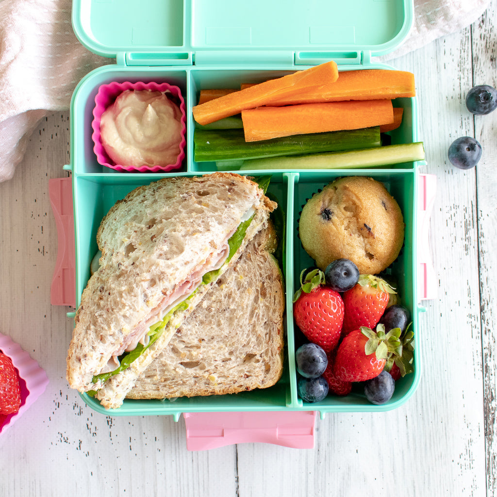 Montii.Co Bento Plus Lunch Box - Premium Coal Design for Office, School & Travel | Eco-Friendly & Leak-Proof Meal Container