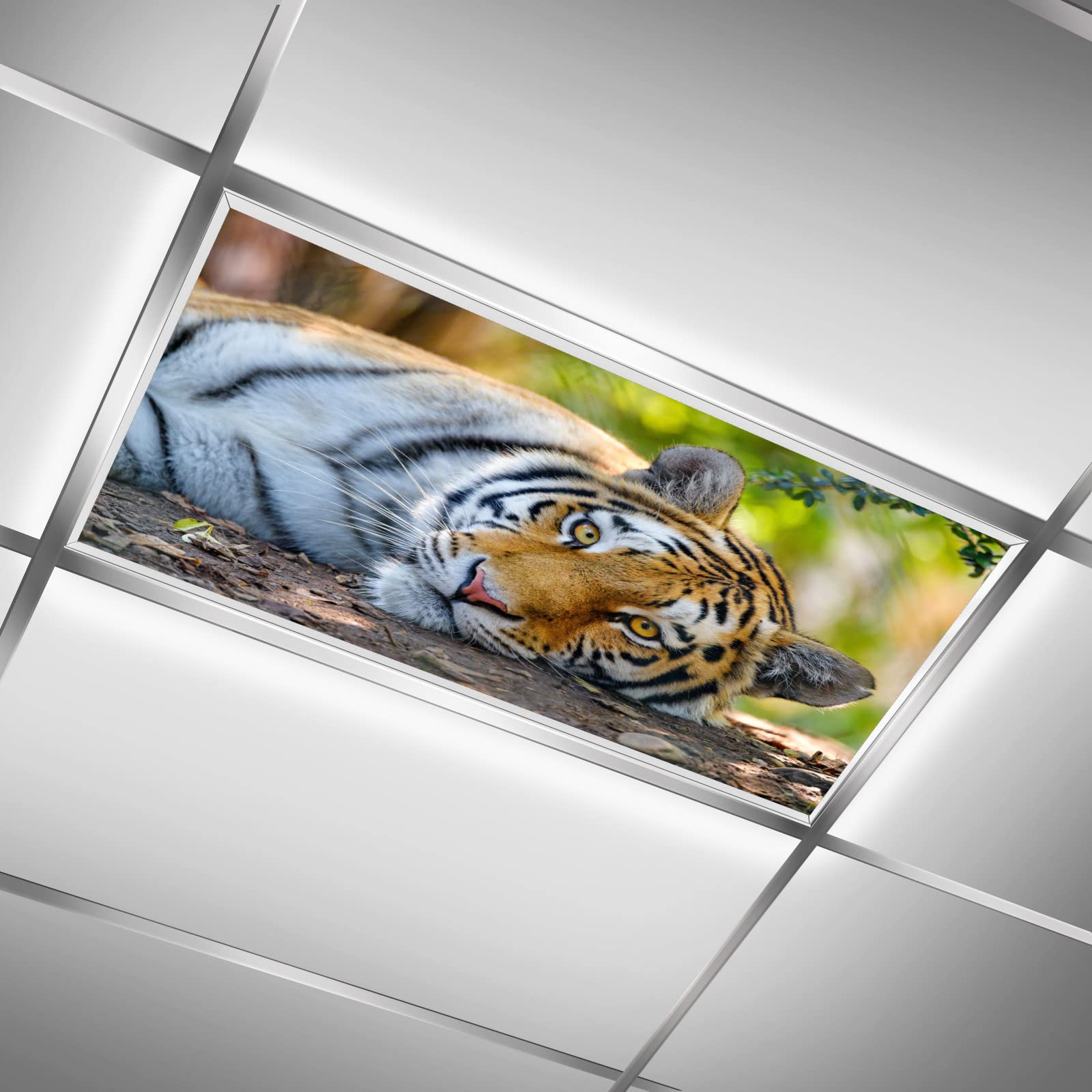 2ft x 4ft Bengal Tiger Wild Big Cat Fluorescent Light Cover - Classroom & Office Ceiling Light Diffuser Panel for Glare Reduction | Perfect for Schools, Workspaces & Animal-Themed Decor