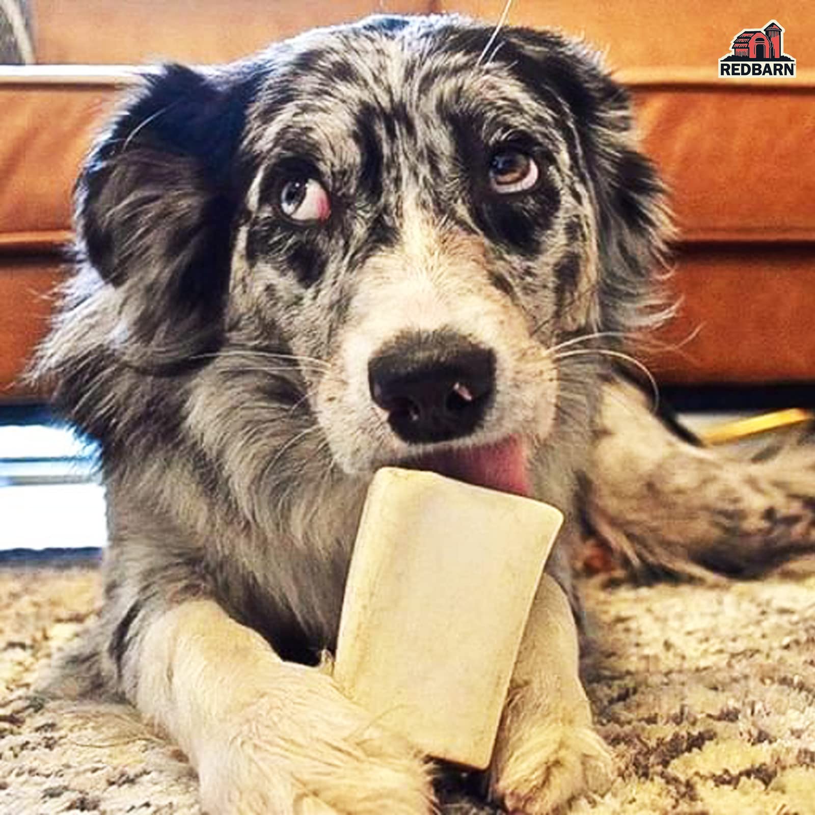 Redbarn Peanut Butter Filled Dog Bones - Long-Lasting Stuffed Femur Chew Treat for Small Dogs - Made in USA - 4 Count (Packaging May Vary) - Perfect for Training Rewards & Dental Health