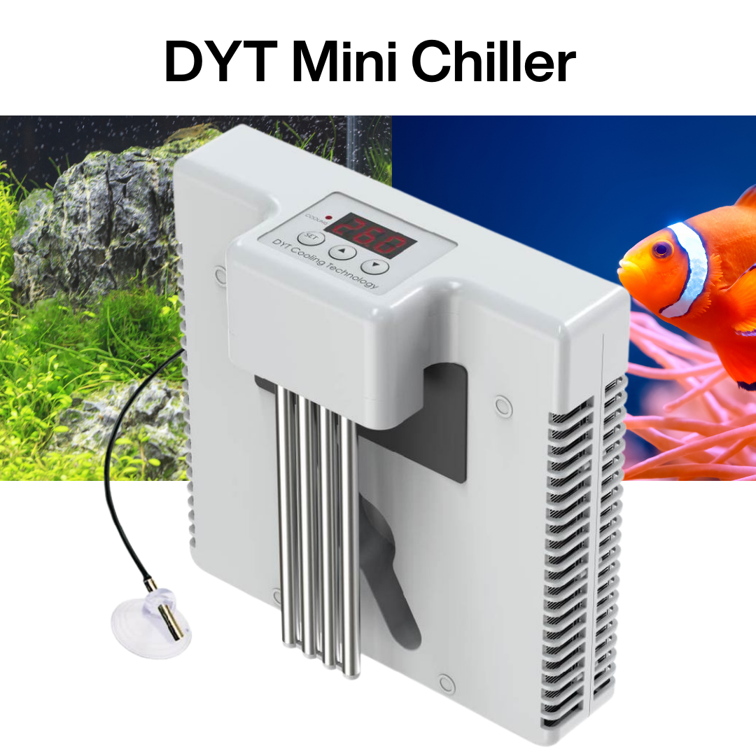 Portable DYT Mini Chiller for 30L Aquariums - No Installation Required | Compact Cooling Solution for Small Fish Tanks & Hydroponic Systems