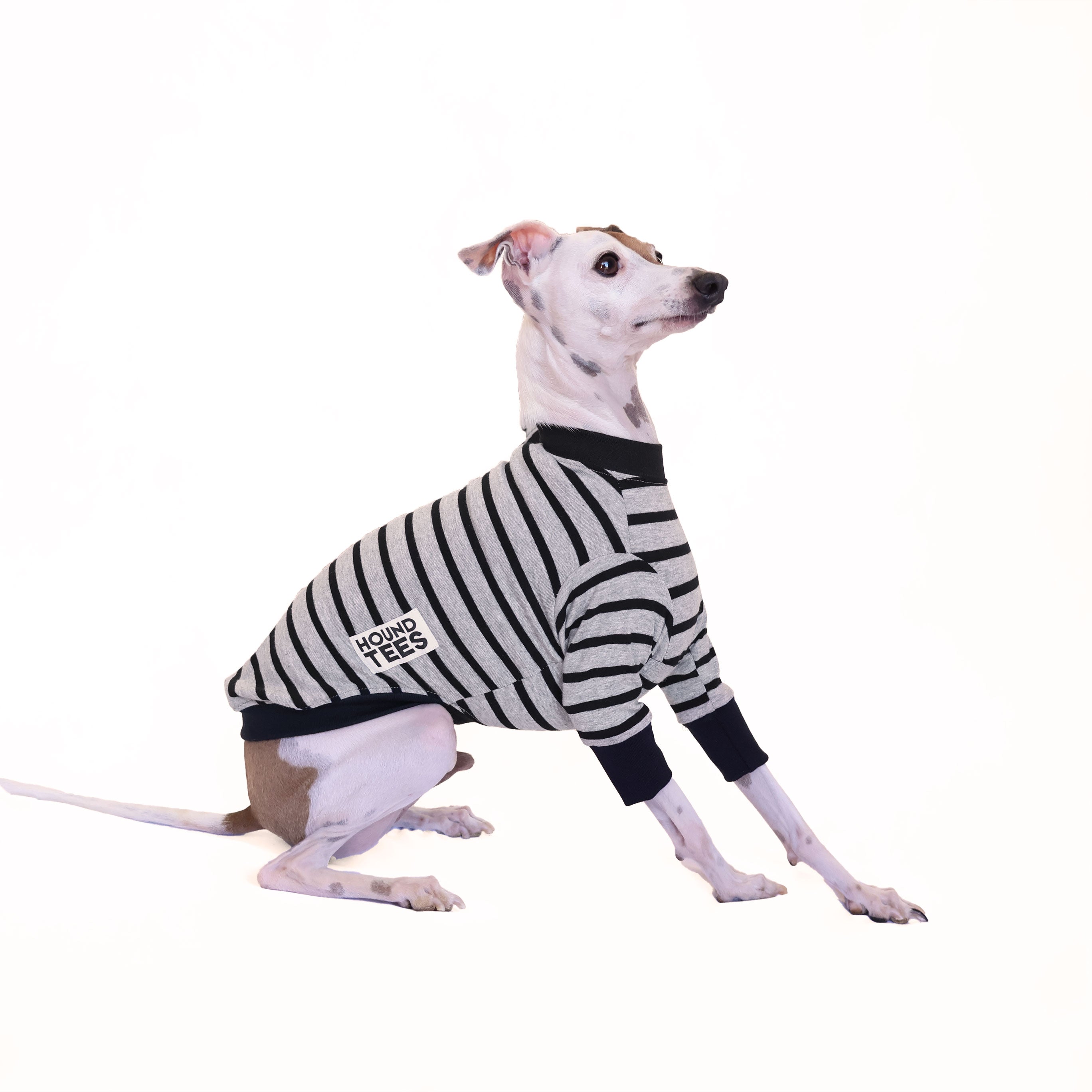 Baddie Italian Greyhound Long Sleeve T-Shirt | Trendy Dog Lover Tee for Women | Casual Outfit & Streetwear Fashion