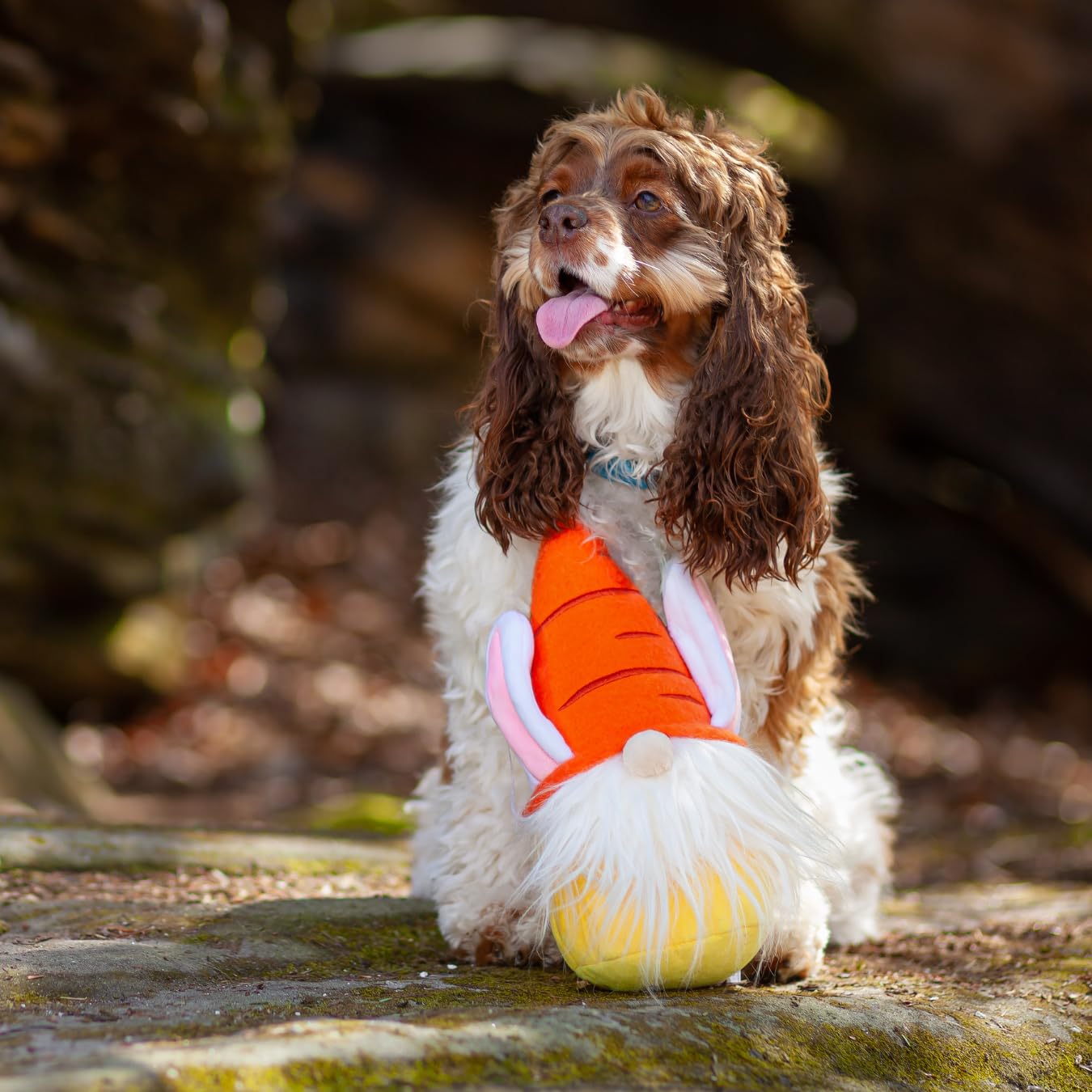 Midlee Easter Bunny Gnome Dog Toy - Cute Holiday Chew Toy for Small & Medium Dogs - Perfect for Easter Playtime & Gifting