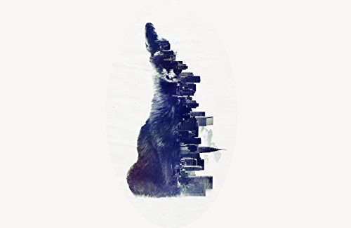 City Fox