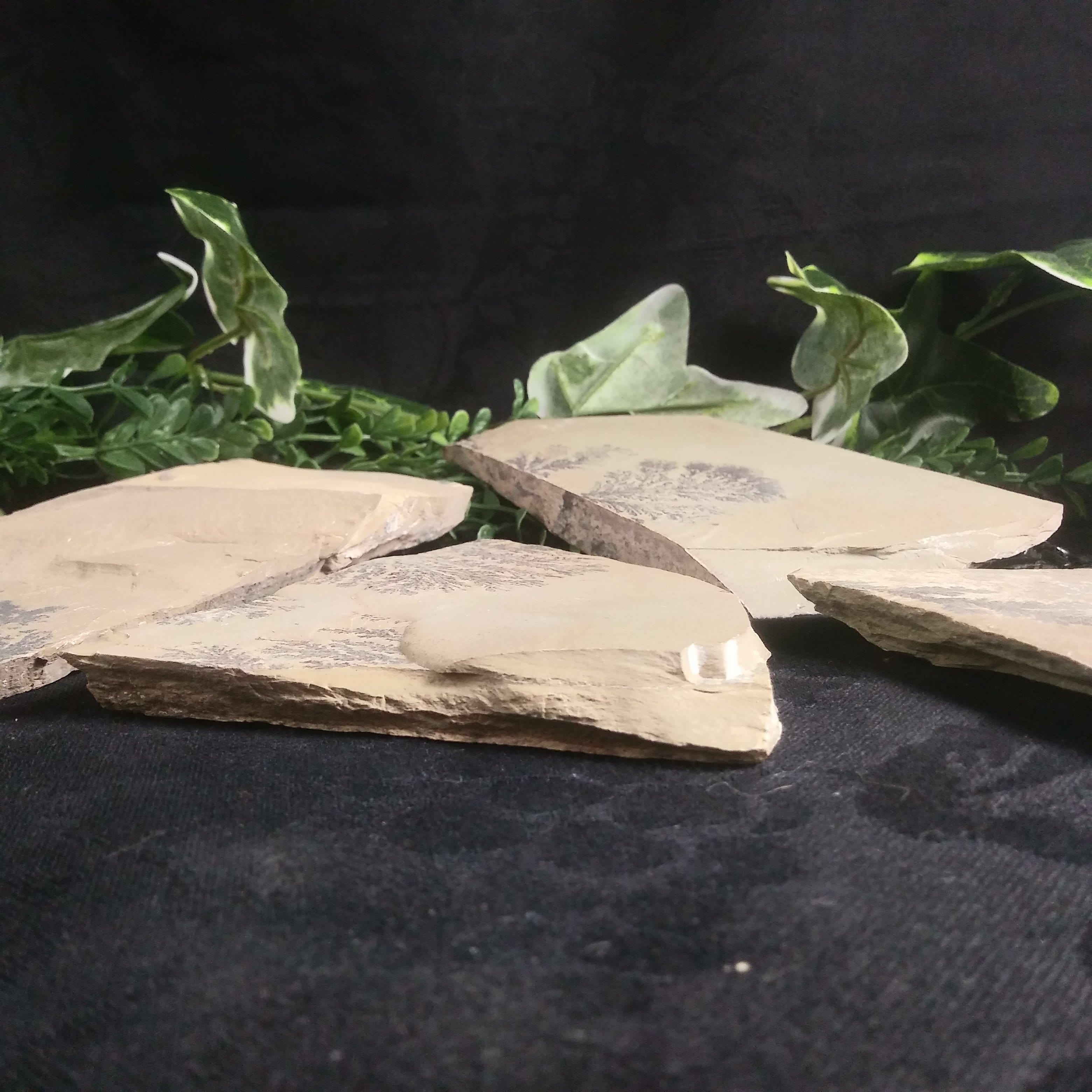 Dendrites in Matrix (Utah) - Natural Mineral Specimens for Collectors & Science Enthusiasts | Perfect for Geology Displays, Educational Use & Home Decor