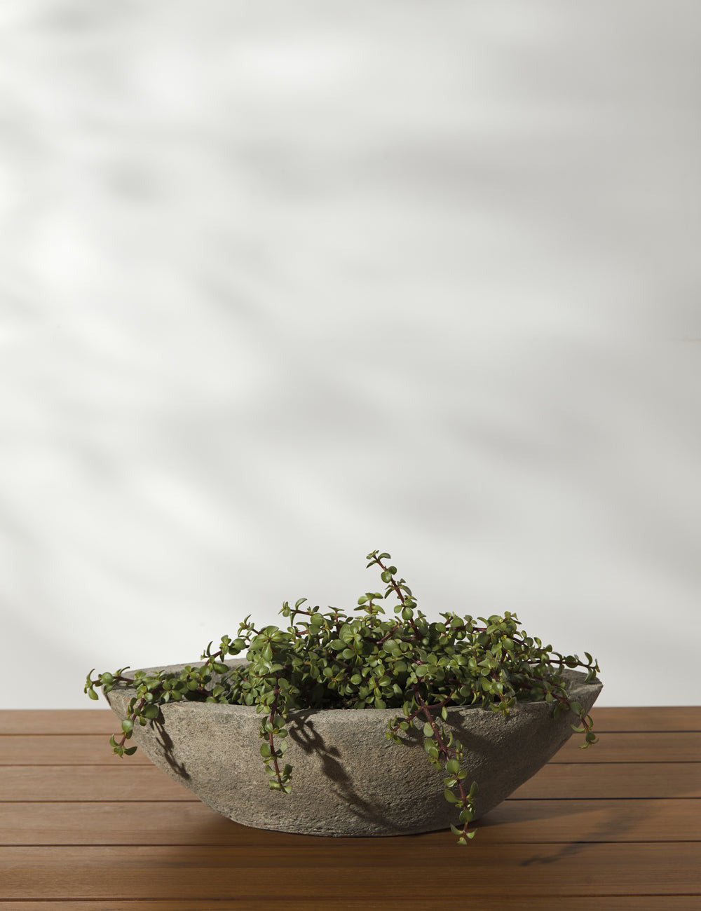 Cast Stone Tabletop Planters by Campania International - Elegant Indoor/Outdoor Decorative Plant Pots for Home, Garden & Patio