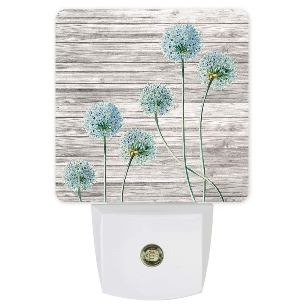 LED Night Light Plug in with Dusk to Dawn Sensor - Wood Grain Dandelion Design for Kids Room, Nursery, Bathroom, Hallway & Stairs | Energy Efficient Decorative Lighting for Home Safety & Comfort