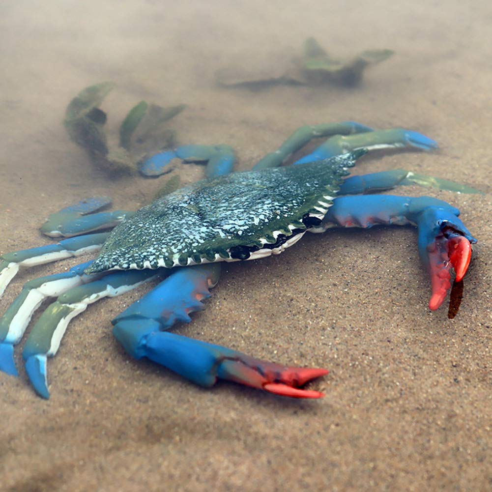 Realistic Crab Marine Animal Toy Set - 2 Pcs Lifelike Sea Creature Figurines for Ocean Science Education & Collectors | Perfect for Classroom Learning, Aquarium Decor & Kids Playtime
