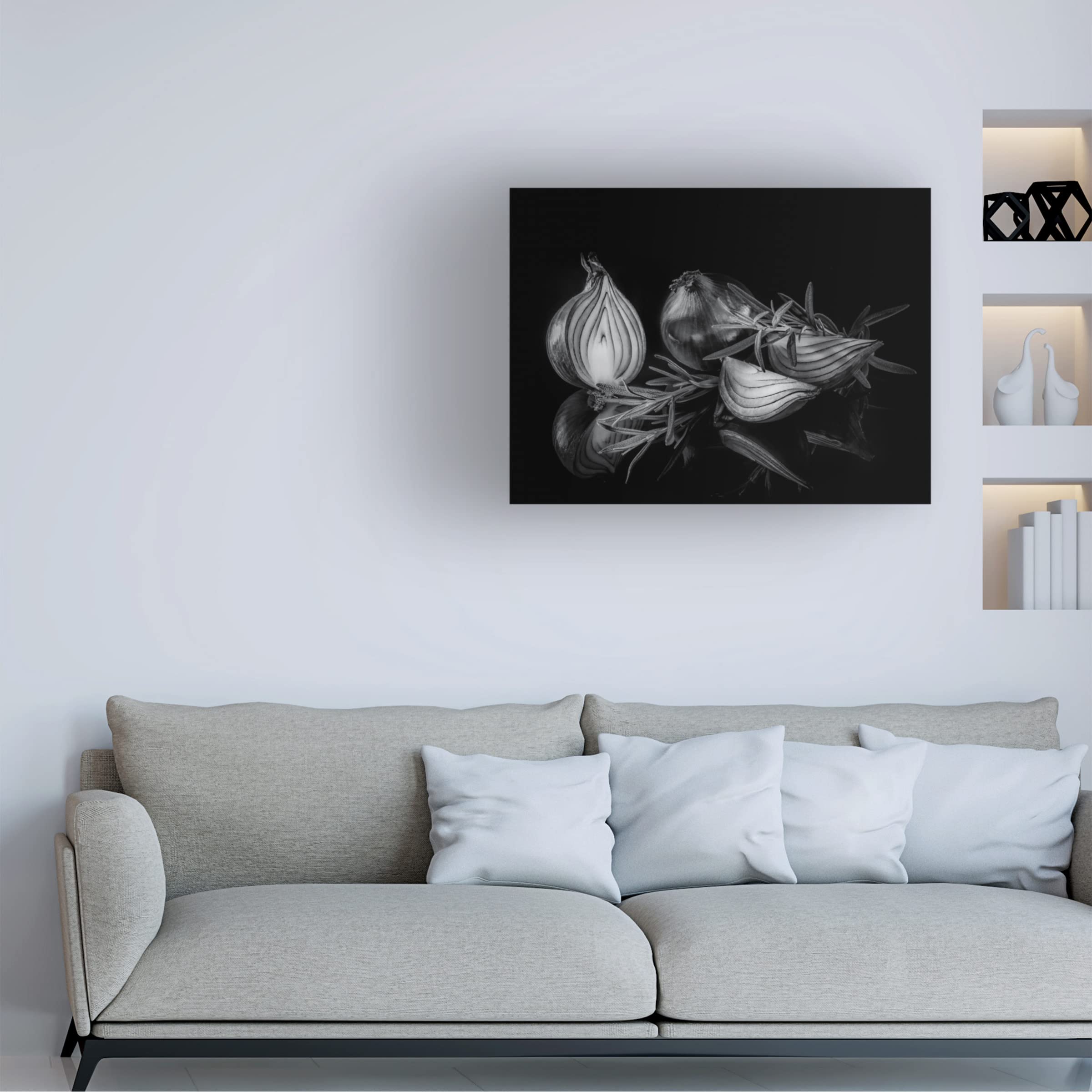 Trademark Fine Art 'Onion' Canvas Wall Art Print by Britt Vienonen - Modern Kitchen Decor for Home & Restaurant