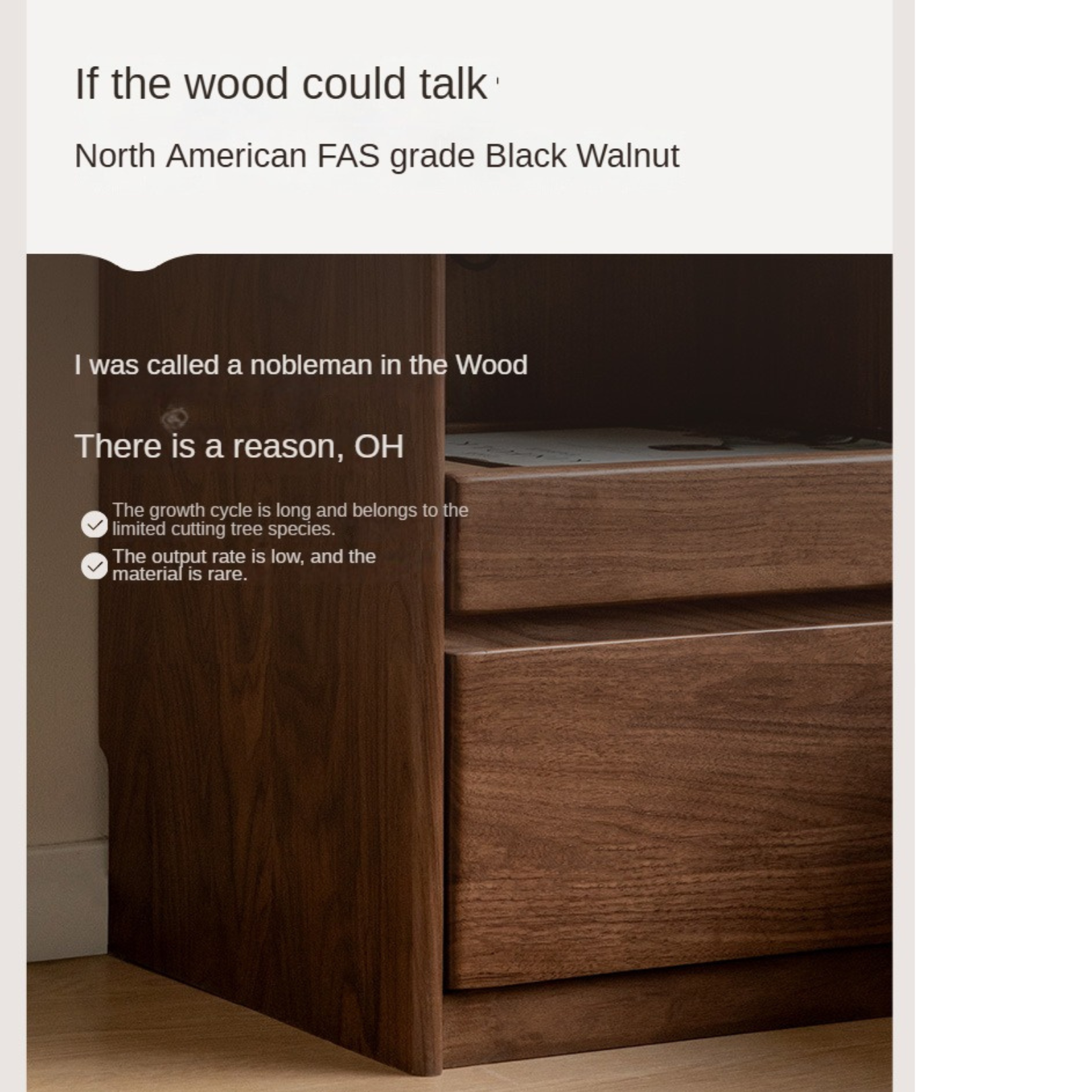 Solid Black Walnut Wood Nightstand with USB Outlet & Lamp - Perfect for Bedroom, Living Room, or Office Use