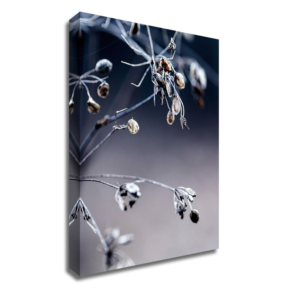 Autumn III by Incado - Premium Canvas Wall Art Print - Ready to Hang - Perfect for Living Room, Bedroom & Office Decor