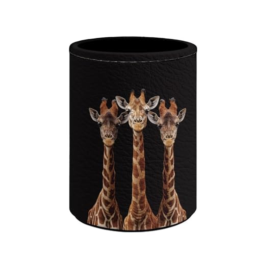 Cartoon Giraffe