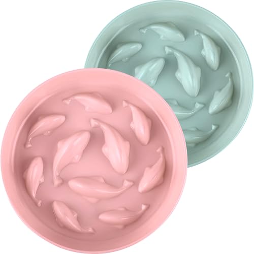 Green & Pink -NEW(2 Bowl)