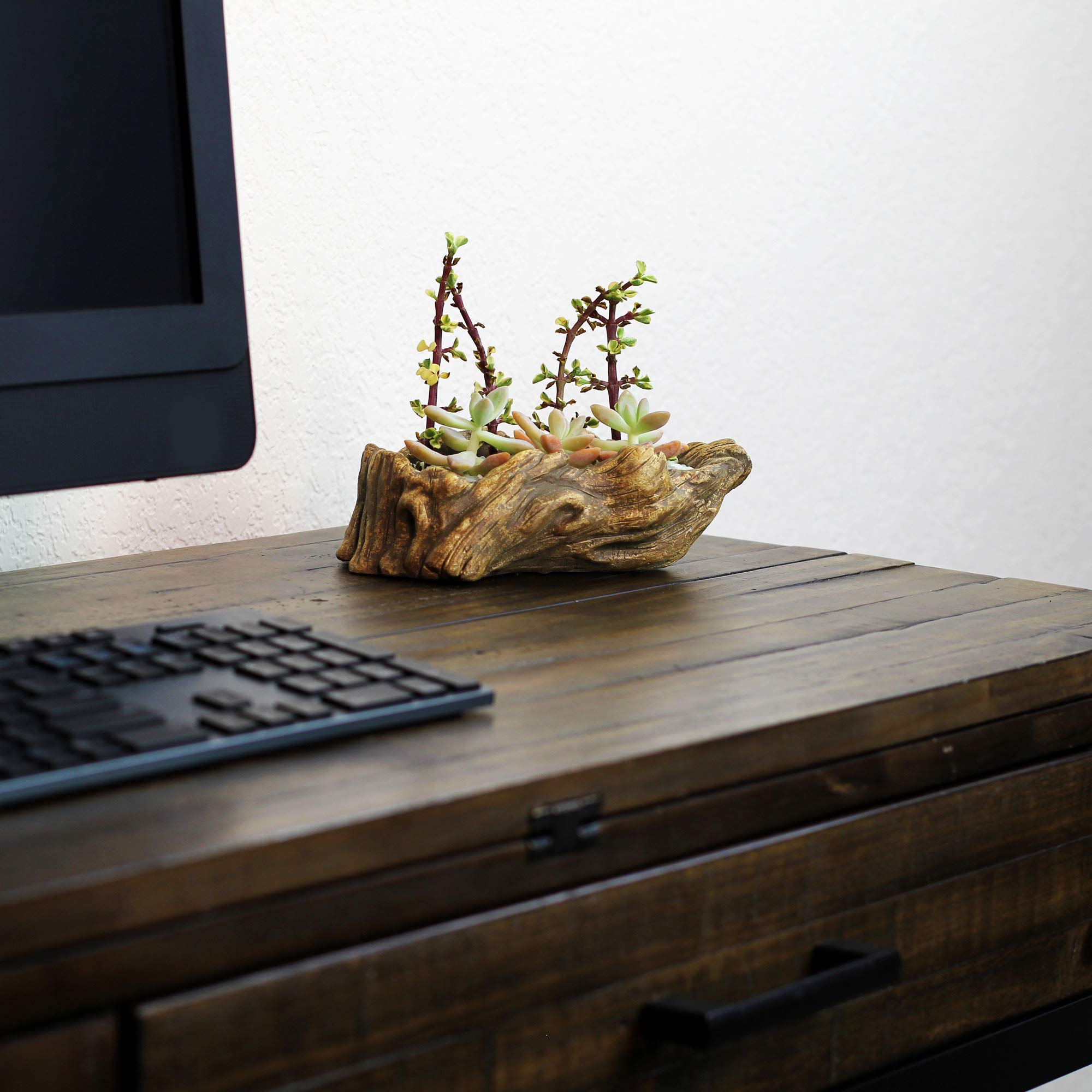 Ceramic Wood Planter Pot - Indoor/Outdoor Log Planter for Succulents, Flowers & Small Plants | Rustic Driftwood Design | Perfect for Home Decor, Office Desk & Garden Use