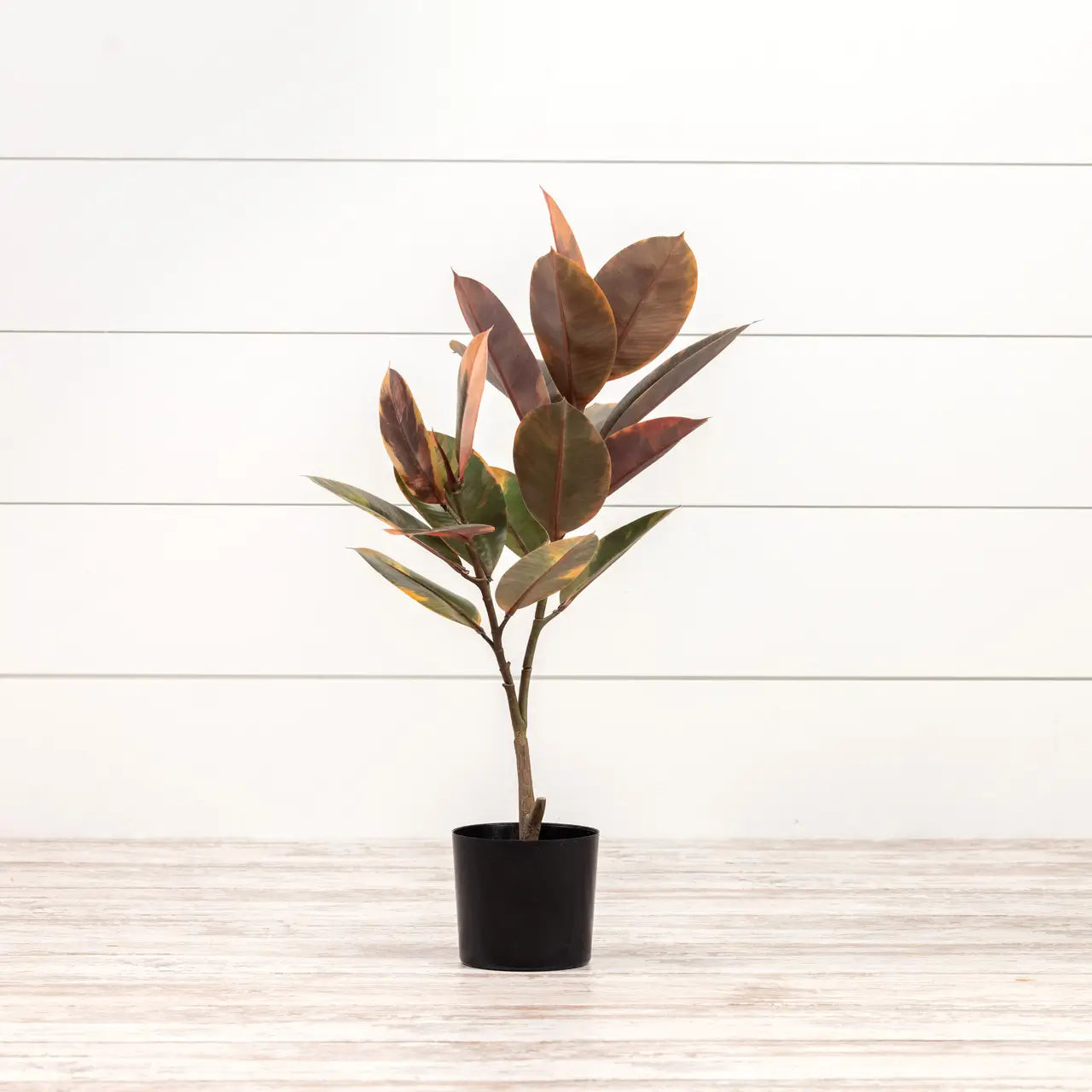 Magnolia Leaf Tree - Artificial Faux Magnolia Leaves for Home Decor, Wedding Centerpieces & Floral Arrangements