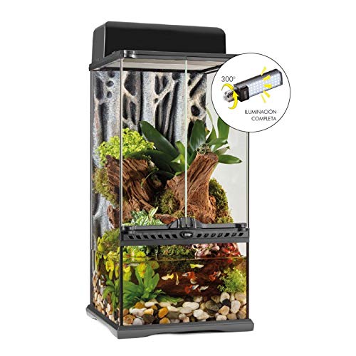 Exo Terra Forest Canopy LED Reptile Terrarium Light - Natural Daylight Simulation for Tropical Terrariums & Vivariums - Perfect for Tree Frogs, Geckos & Arboreal Reptiles