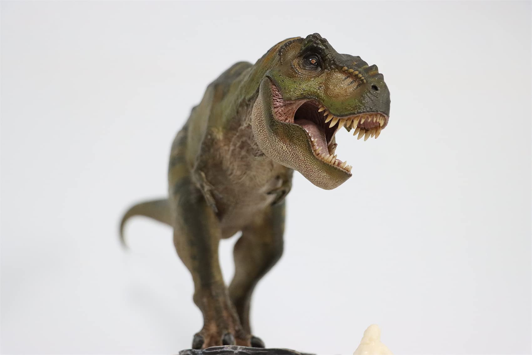 Nanmu 1:35 Scale Tyrannosaurus Rex Dinosaur Model - Highly Detailed T-Rex PVC Collector Toy, Realistic Dinosaur Figure with Display Base, Perfect Gift for Adult Collectors | Home Decor, Office Display, Dinosaur Enthusiast Collection