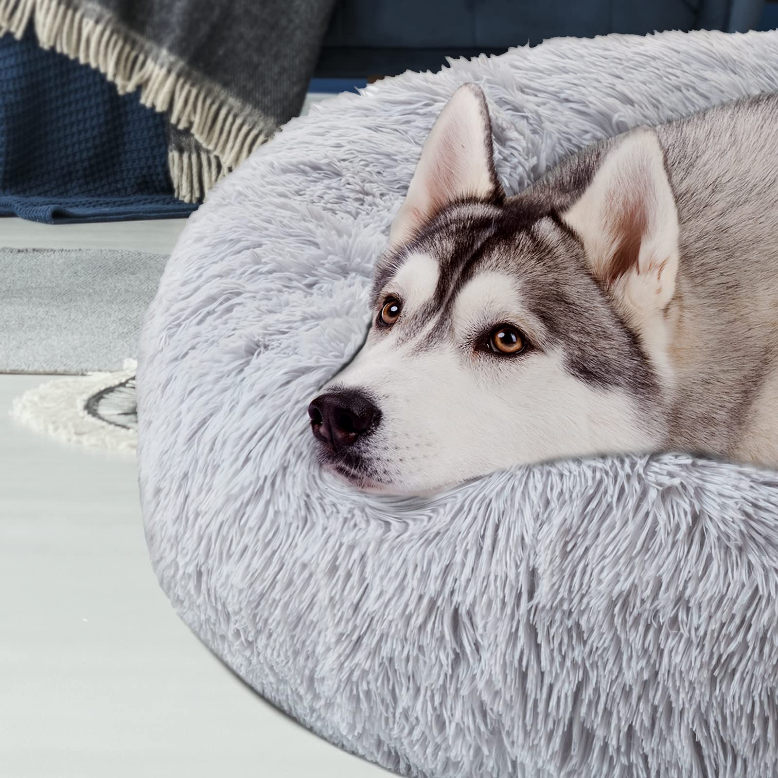 Premium Large Dog Bed for Big Dogs - Calming Donut Round Pet Bed for Medium Pets, Comfy Luxury Anti-Anxiety Plush Cuddler Mat (31.5
