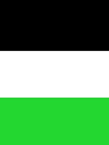3pc(black+white+green)
