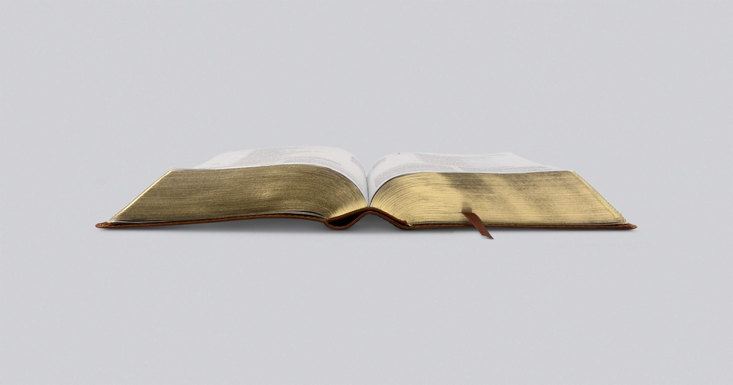 ESV Study Bible Personal Size - TruTone Leather Cover with Saddle Stitch & Ornamental Design | Compact Scripture Study for Daily Devotion, Church Use & Travel Bible