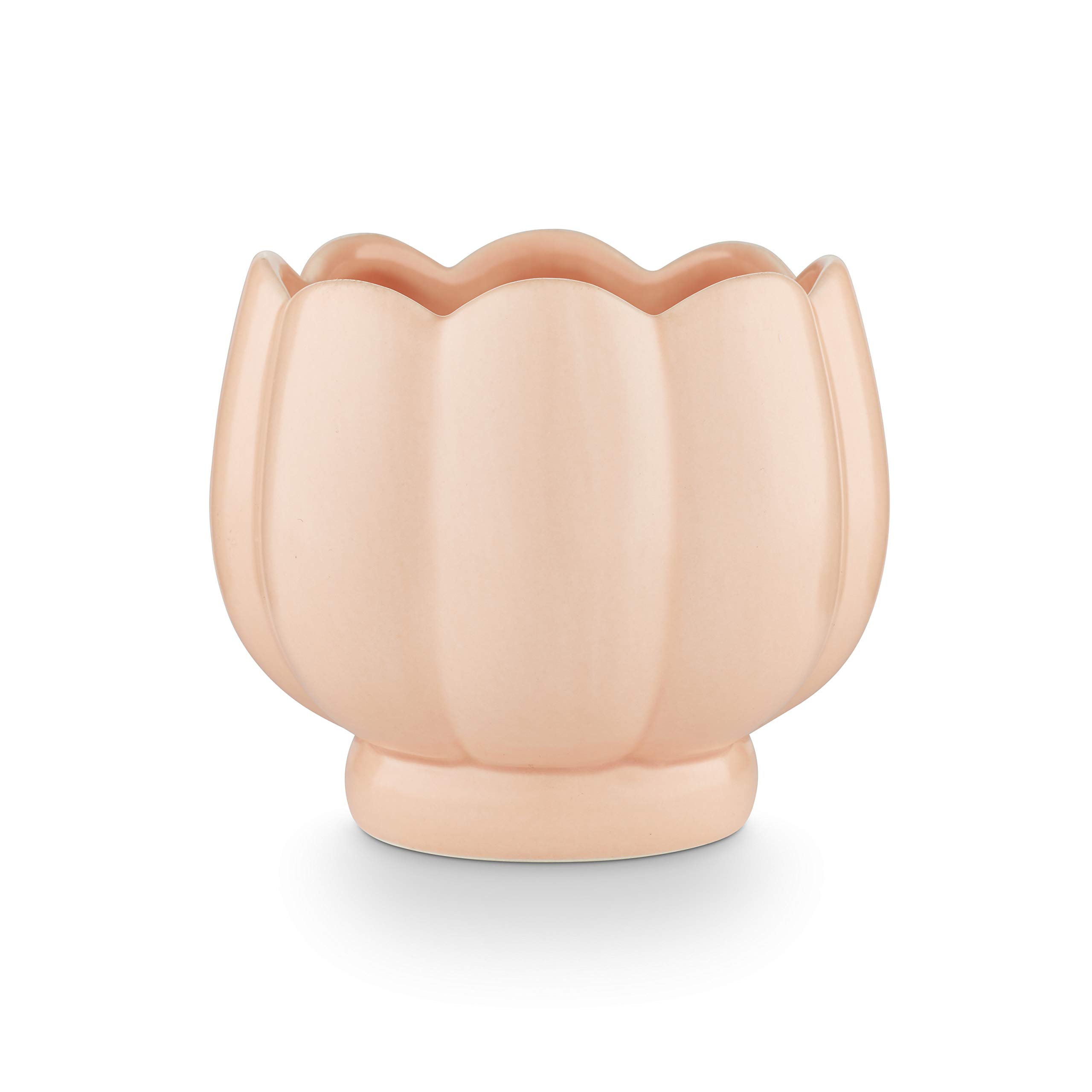 Authentic Wild Rose Petal Ceramic Mug - Handcrafted Porcelain Tea Cup for Coffee & Herbal Tea - Perfect for Home, Office & Gifting