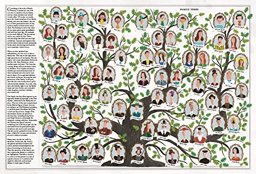 Piotr Socha: The Book of Trees - Illustrated Guide to Tree Species, Nature Exploration & Educational Gift for Kids & Adults | Perfect for Homeschooling, Classroom Learning & Nature Enthusiasts
