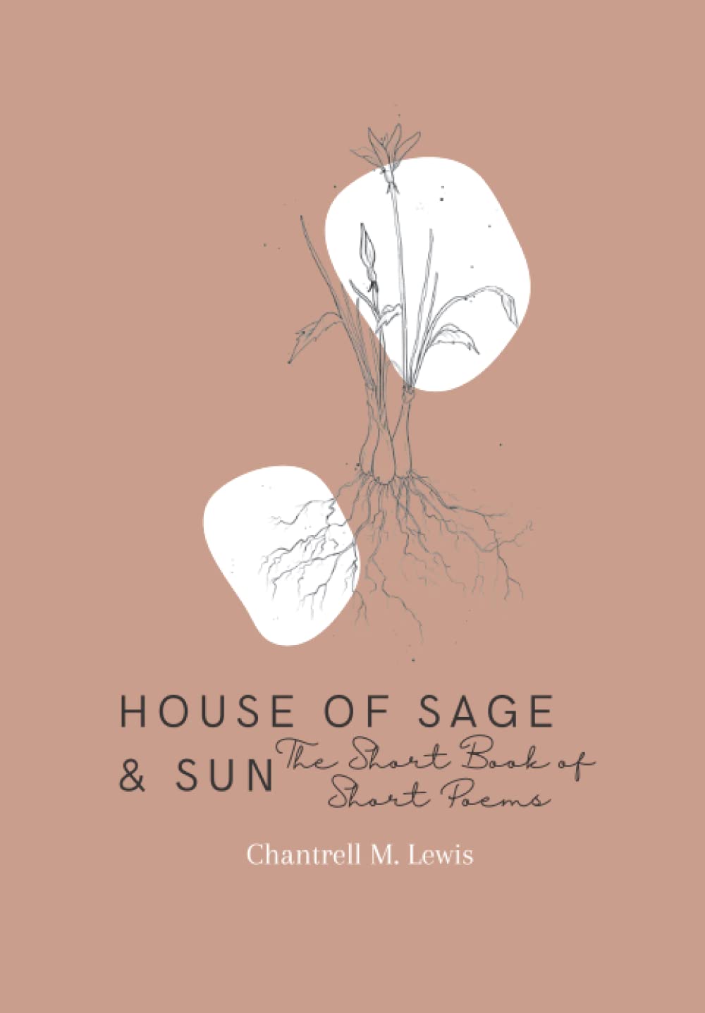 House of Sage and Sun: A Collection of Short Poems for Relaxation, Inspiration & Daily Reflection | Perfect for Gifts, Meditation & Poetry Lovers