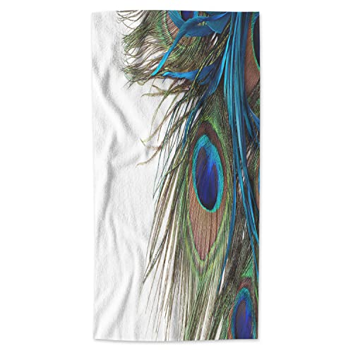 Green Blue Peacock Feather