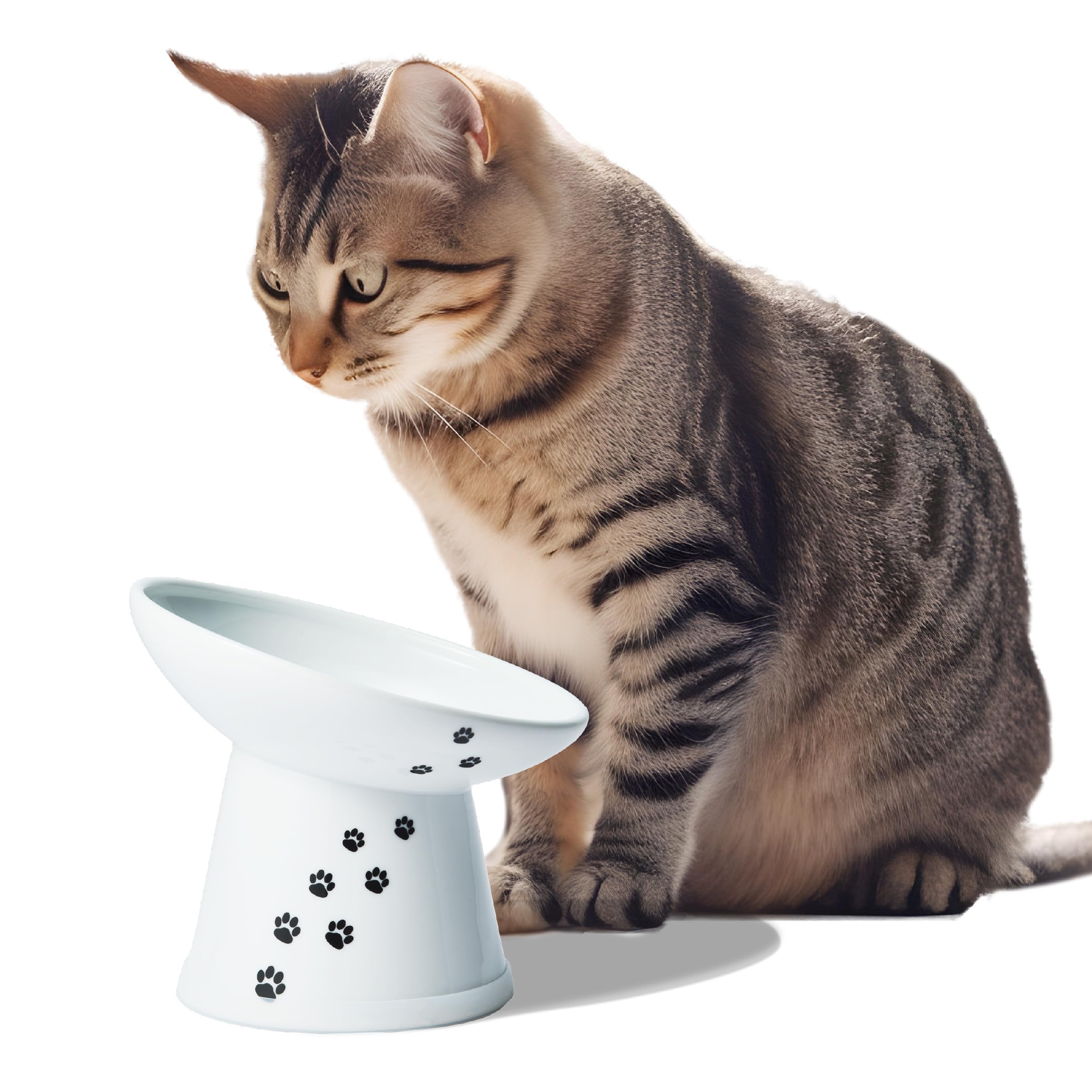Necoichi Extra Wide Raised Cat Food Bowl - Elevated Stainless Steel Dish for Neck & Whisker Relief - Dishwasher & Microwave Safe - Japan's #1 Pet Bowl - Perfect for Senior Cats or Pets with Mobility Issues