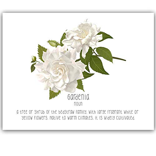 Gardenia Wall Art - Home Decor for Living Room & Bedroom