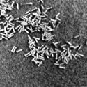 Miniature Nails for Dollhouse - 100 Count Small Craft Nails - Perfect for DIY Miniature Projects, Dollhouse Repair & Model Building